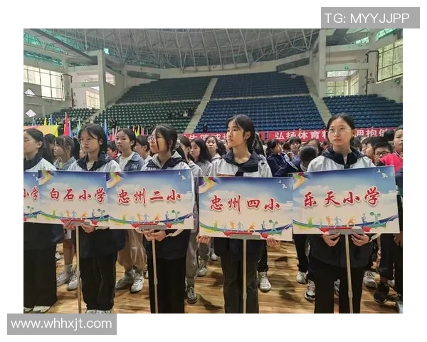 小学篮球队伍名称创意大赛让我们一起为小球员们起个响亮的名字吧