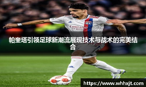 星空.综合体育官网