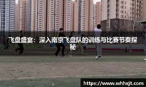 飞盘盛宴:深入南京飞盘队的训练与比赛节奏探秘